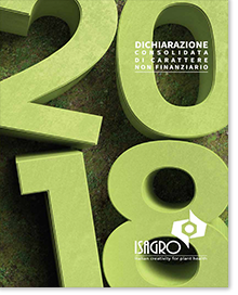 Dichiarazione non Finanziaria